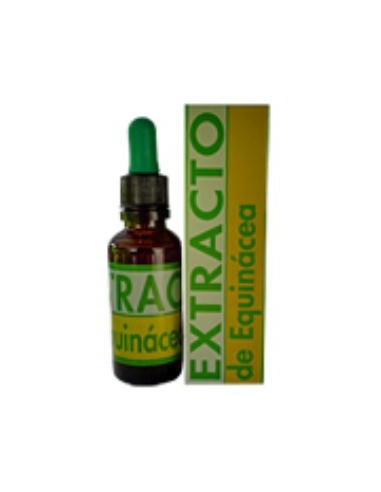 EXT.ECHINACEA 31ml. EQUISALUD