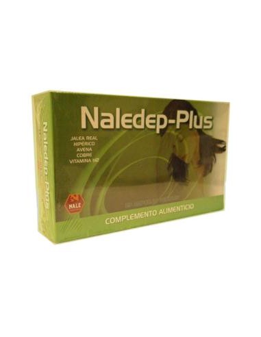 NALEDEP-PLUS 20amp.