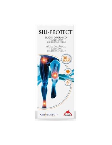 SILI-PROTECT 500ml. INTERSA