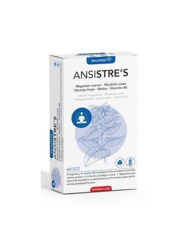 ANSI stres 60cap. INTERSA