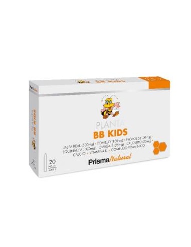 PLANTA BB KIDS 20amp. PRISMA NATURAL