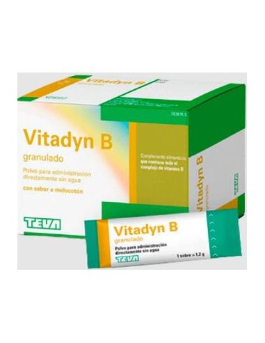 VITADYN B POLVO ORAL granulado 40 sobres