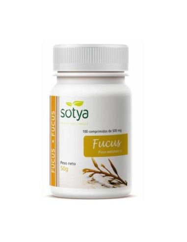 FUCUS 100comp. SOTYA