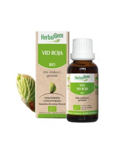 VID ROJA macerado glicerinado 50ml. HERBALGEM