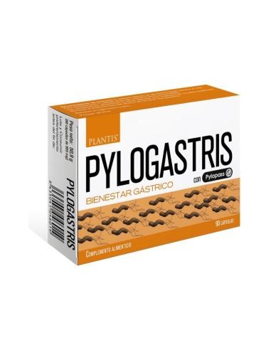 PYLOGASTRIS 90cap. ARTESANIA