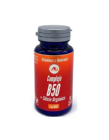 COMPLEJO B50 + SILICIO 60cap. YNSADIET