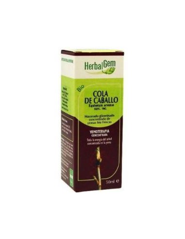 COLA DE CABALLO macerado glicerinado 50ml. HERBALGEM