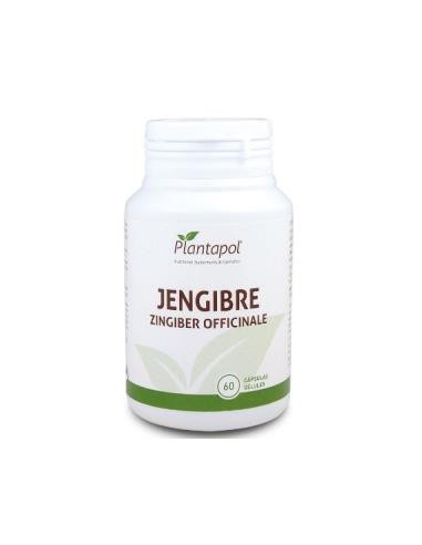 JENGIBRE 600mg. 60cap. PLANTAPOL