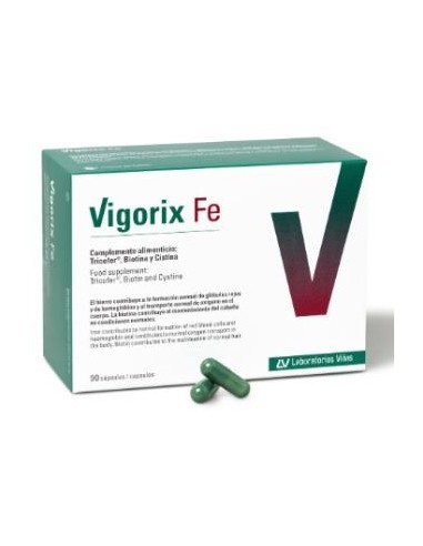 VIGORIX FE 90caps