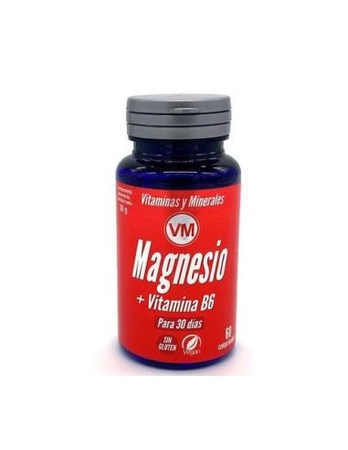 MAGNESIO + vit. B6 60comp. YNSADIET