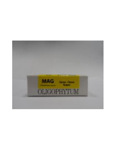 OLIGOPHYTUM MAGNESIO 100gra HOLISTICA