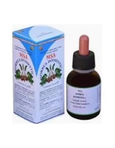 MSA SORBUS DOMESTICA yemas serbal comun 50ml. HERBOPLANET