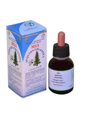 MSA SEQUOIA GIGANTEA 50ml. HERBOPLANET