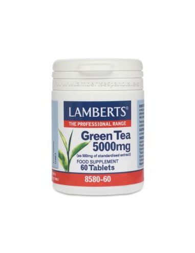 TE VERDE 60comp. LAMBERTS