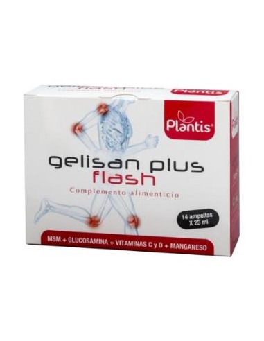 GELISAN PLUS FLASH 14amp. ARTESANIA