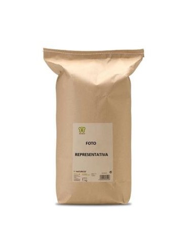 ALBAHACA 1kg. NATURCID