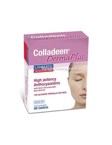 COLLADEEN DERMA PLUS 60comp. LAMBERTS