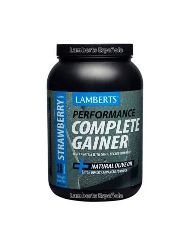 COMPLETE GARNIER sabor fresa 1,8Kg. LAMBERTS