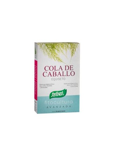 COLA DE CABALLO 40cap. SANTIVERI