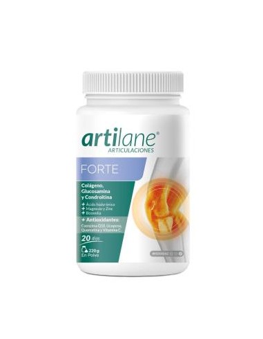 ARTILANE FORTE 220gr.