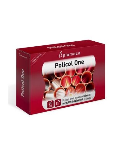 POLICOL ONE 30cap. PLAMECA