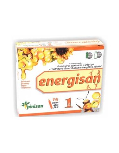 ENERGISAN 15viales PINISAN