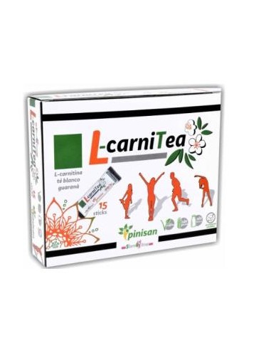 L-CARNITEA 15sticksx10ml. PINISAN