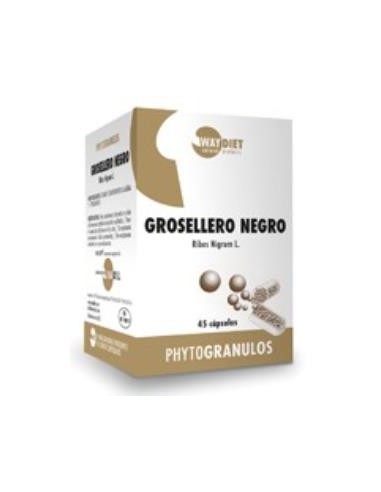 GROSELLERO NEGRO phytogranulos 45caps. WAYDIET NATURAL PRODUCTS