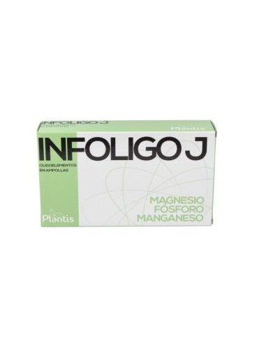 INFOLIGO J 20 amp. ARTESANIA