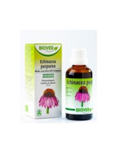 EXT. ECHINACEA PURPUREA (echinacea) 50ml. BIOVER