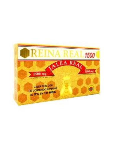 REINA REAL 1500mg. 20amp. ROBIS