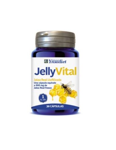 JELLY VITAL CAPSULAS 300mg.de jalea 30cap. YNSADIET