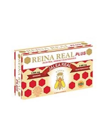 REINA REAL PLUS 20amp ROBIS