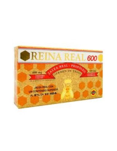 REINA REAL 600mg. 20amp. ROBIS