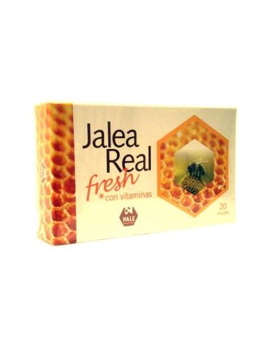 JALEA REAL FRESH 1000mg. 20amp. NALE