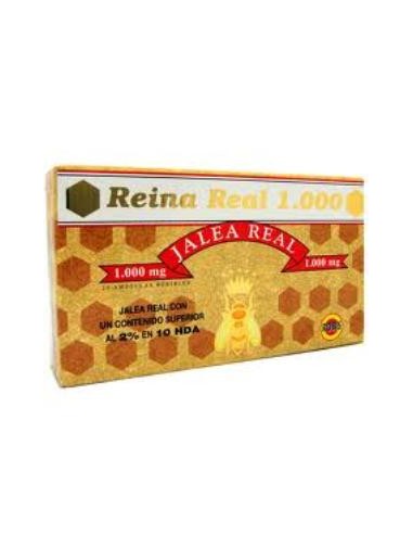 REINA REAL 1000 20amp. ROBIS