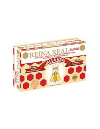 REINA REAL SUPER 20amp ROBIS