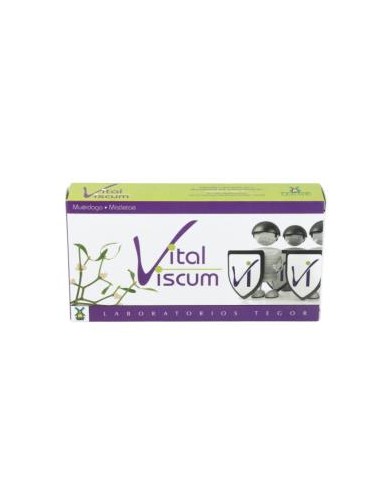 VITAL VISCUM 40cap. TEGOR