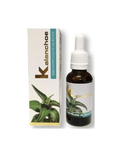 KALANCHOE 30ml. LUMEN