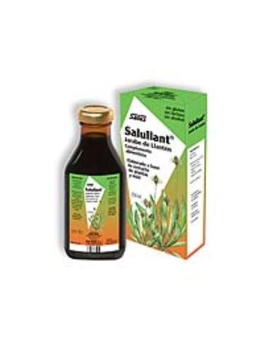 SALULLANT LLANTEN EXPECTORANTE jarabe 250ml SALUS