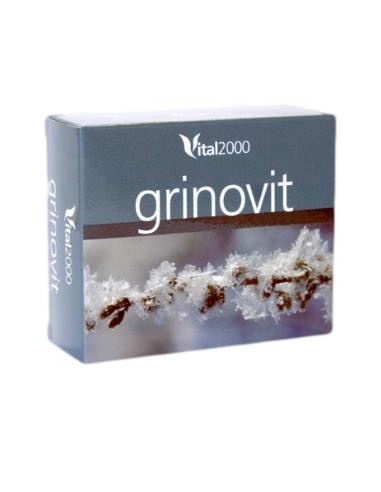 GRINOVIT 60comp. VITAL 2000