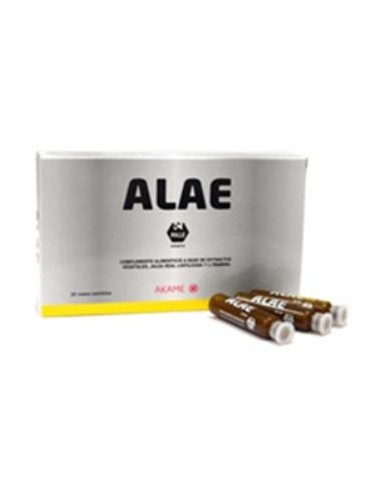 ALAE 20amp. AKAME