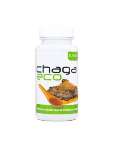 CHAGA ECO PLANTIS 45cap. ARTESANIA