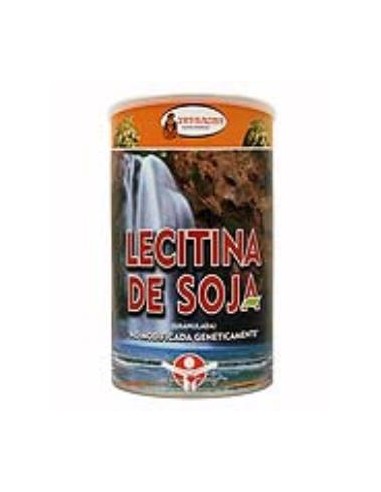 LECITINA DE SOJA bolsa 400gr. INTRACMA