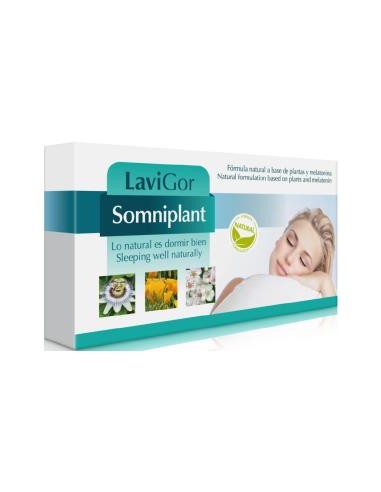 SOMNIPLANT 40cap. LAVIGOR