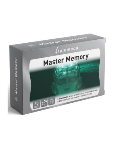 MASTER MEMORY 30cap. PLAMECA