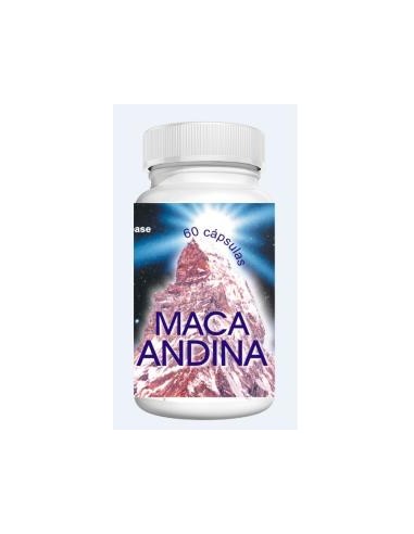 MACA ANDINA 60cap. EL VALLE