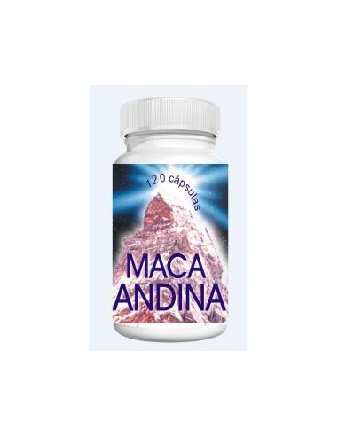 MACA ANDINA 120cap. EL VALLE