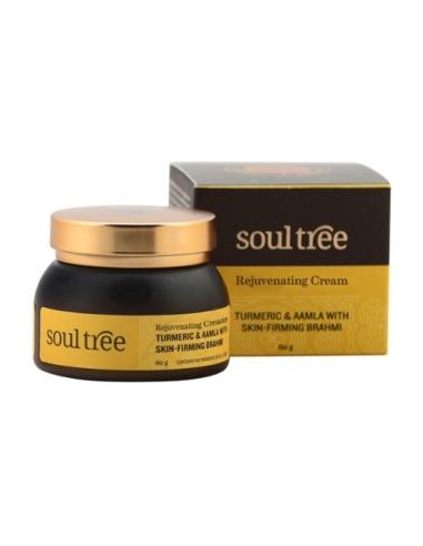 CREMA FACIAL REGENERADORA curcuma amla bhrami 60gr SOULTREE