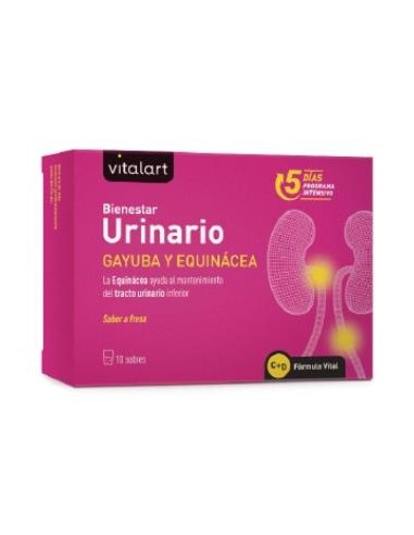 VITALART BIENESTAR URINARIO 10sbrs.